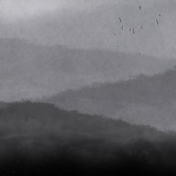 霧-原創定制壁畫 張杉杉  NEWDECO家具品牌