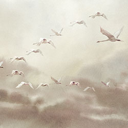 候鳥Ⅱ-原創定制壁畫 張杉杉  NEWDECO家具品牌