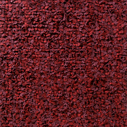 小花田地毯 托德•布歇爾  地毯